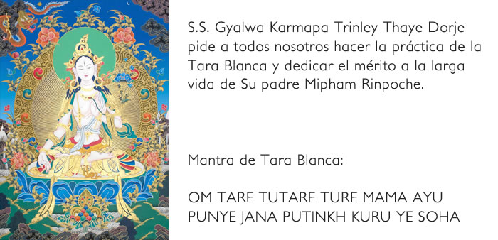 Gyalwa Karmapa solicitar Mantra de Tara Blanca