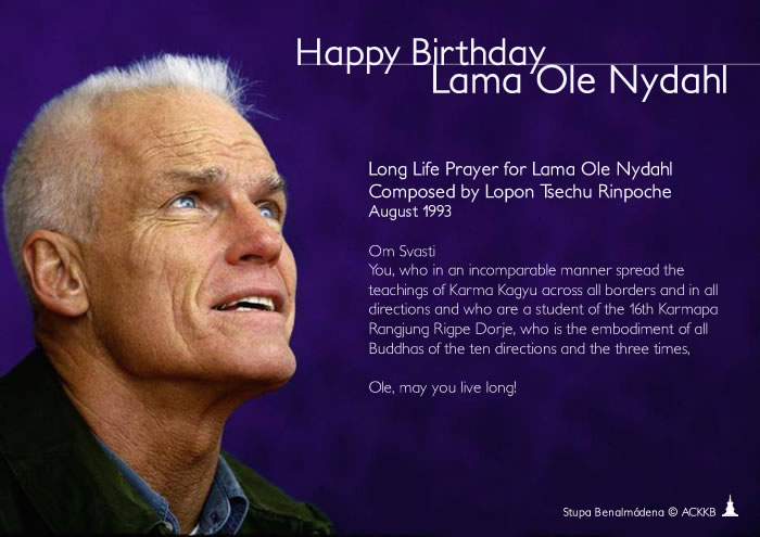 Happy Birthday Lama Ole!